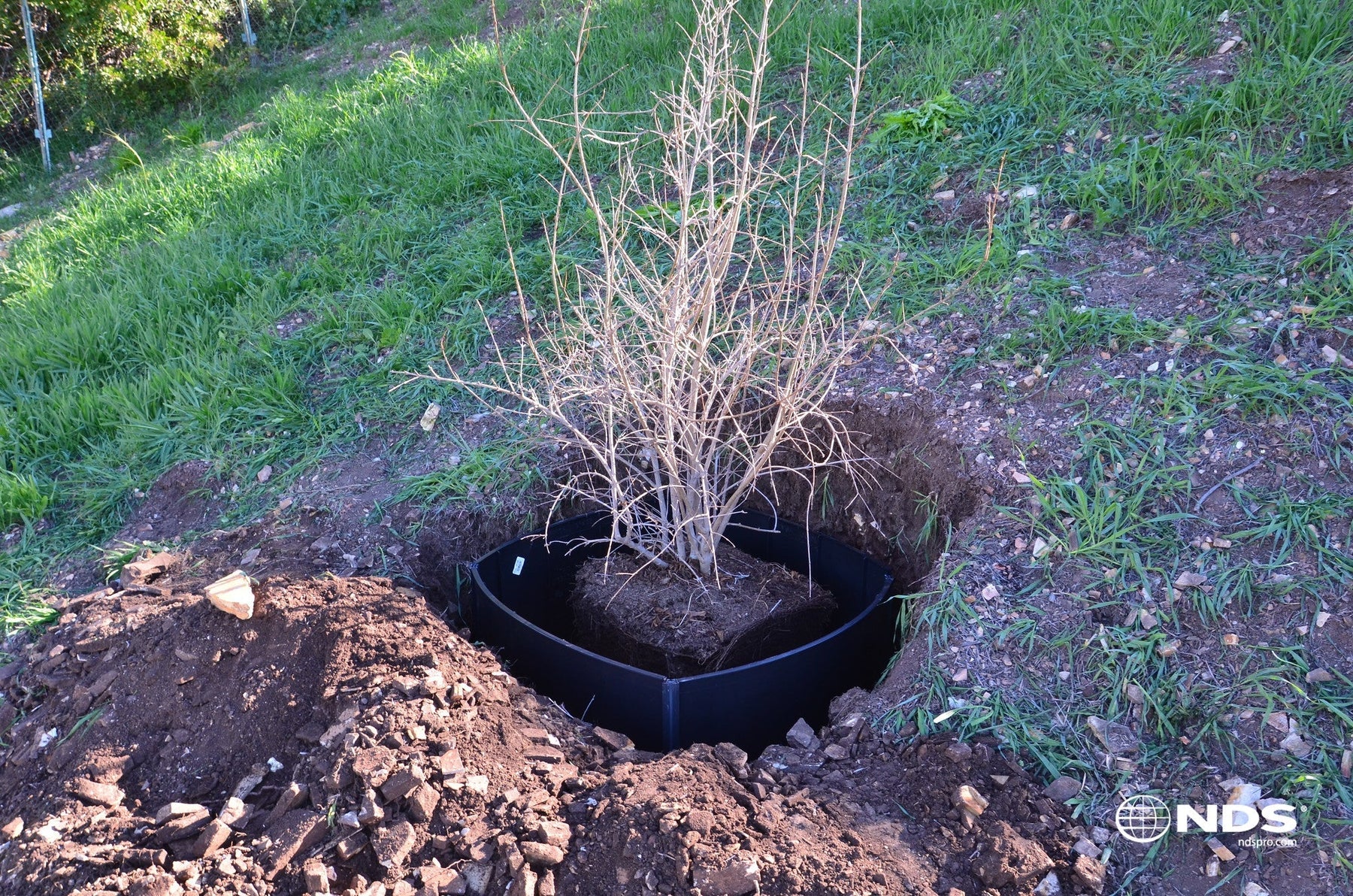 Tree Barrier Guide: Protect Property from Roots