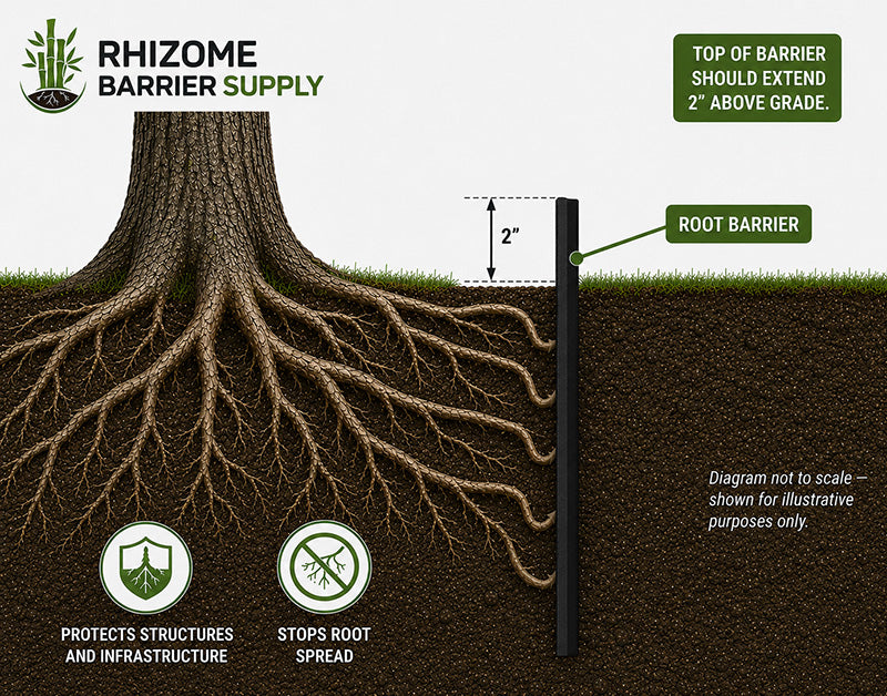 Root Barrier Installation: Planning & Setup