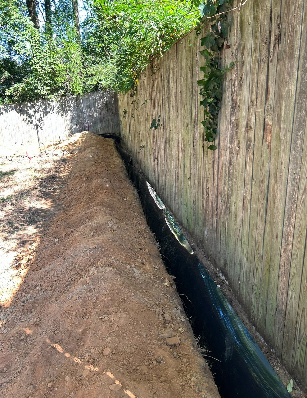Phyllostachys Root Containment: HDPE Barriers