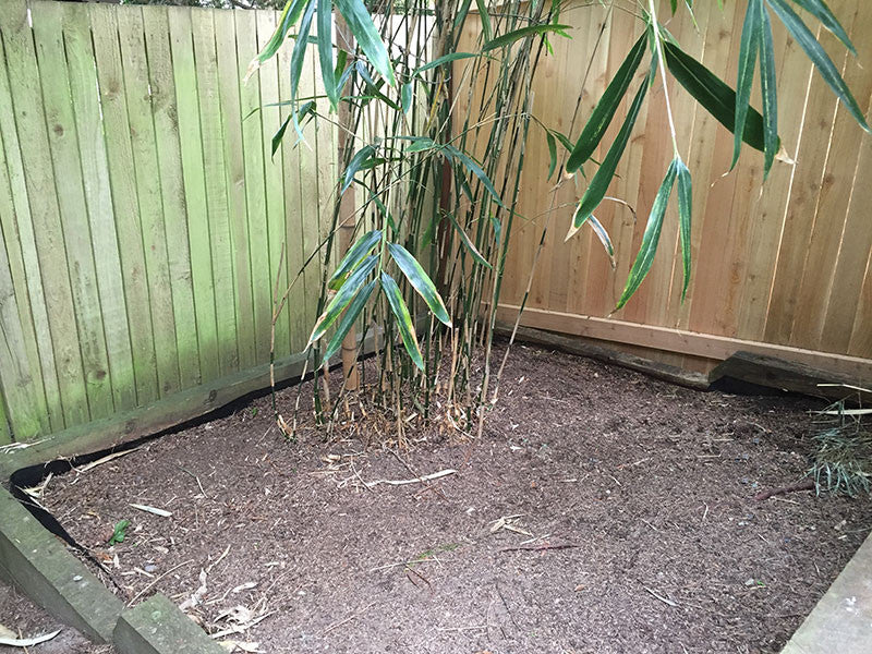 Planting a Bamboo Barrier: Installation Guide