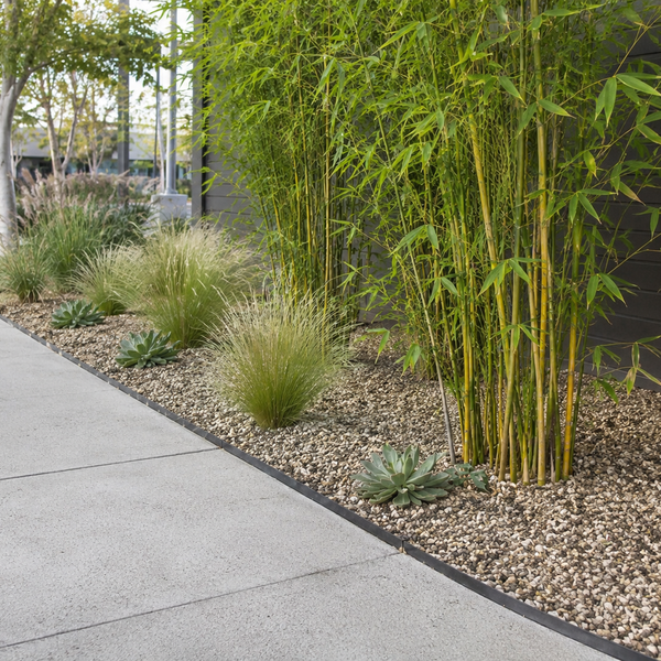 Root Barrier for Foundations: Planning Guide