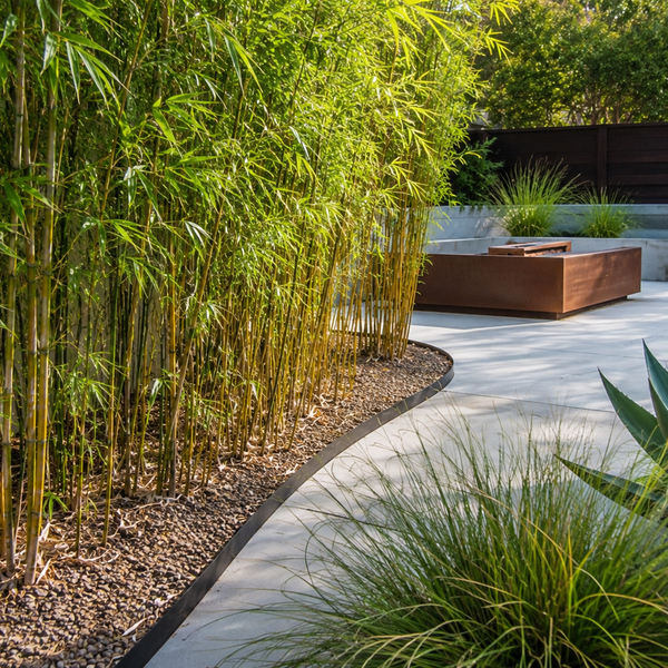 Running Bamboo: How It Spreads & How to Contain