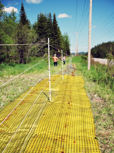 Biobarrier Root Control Fabric 12" x 100'