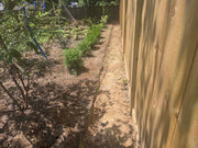 HDPE root barrier trench dug along a wooden privacy fence next to a planted garden bed

