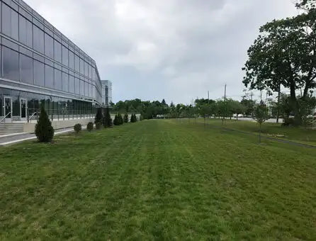 EZ-Roll Grass Paver - 4' x 150' Roll