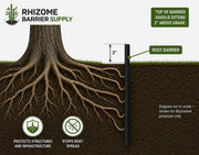Rhizome Barrier Supply root barrier installation diagram showing a tree cross-section with roots extending into soil, a vertical black root barrier post, a 2-inch depth marker, and text noting the top should extend 2 inches above grade.