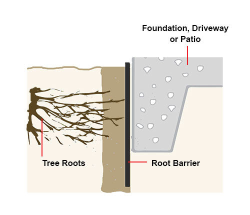 Tree root barrier illustration showing root deflection
