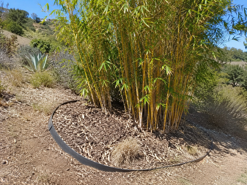 Rhizome / Bamboo Barrier 30 mil Thickness