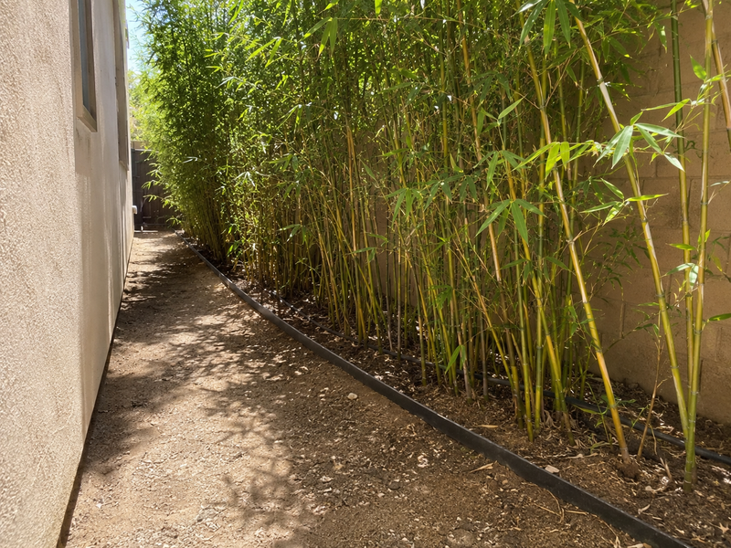 Rhizome / Bamboo Barrier 30 mil Thickness
