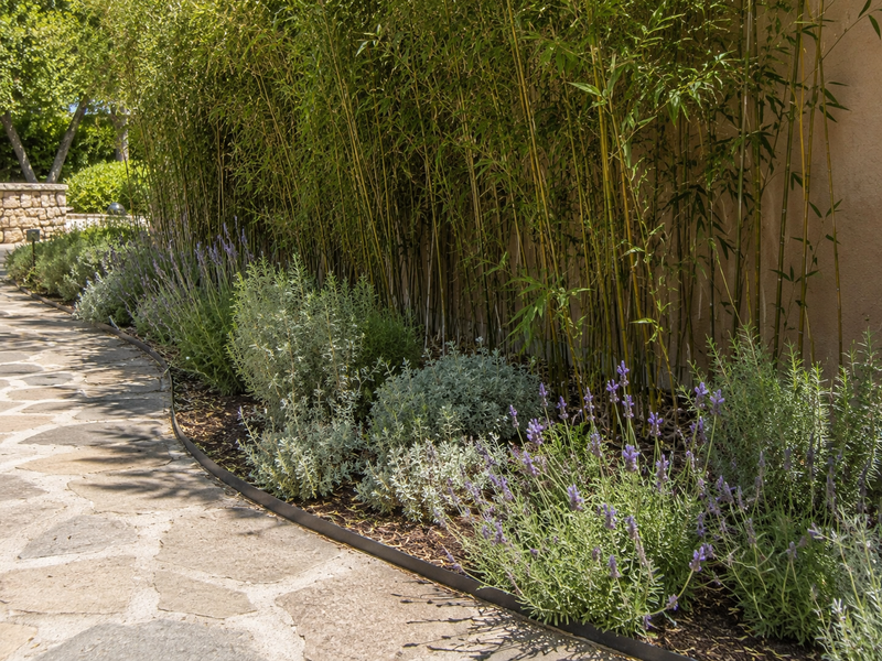 Rhizome / Bamboo Barrier 60 mil Thickness