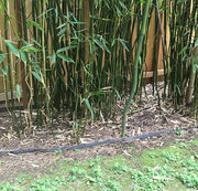 Bamboo barrier wall installation