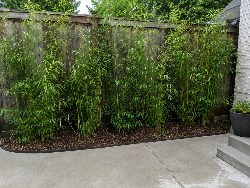 Rhizome / Bamboo Barrier 40 mil Thickness