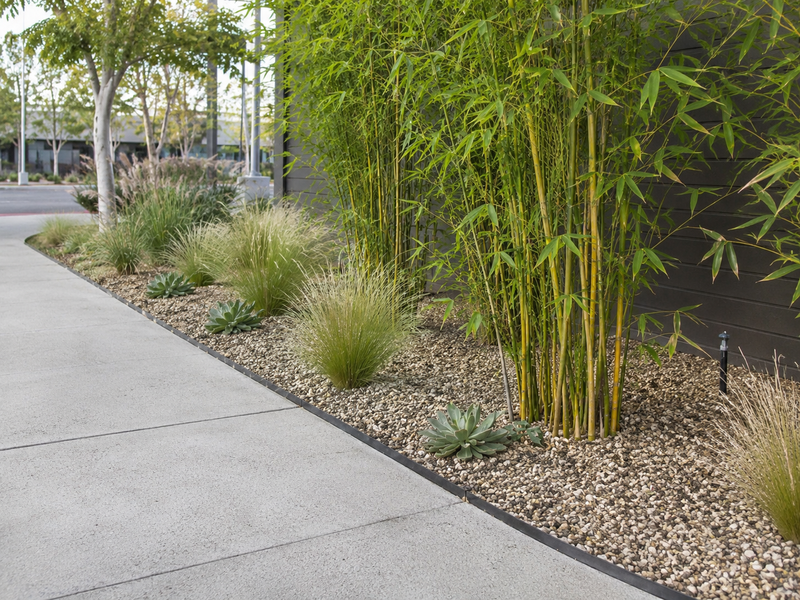 Rhizome / Bamboo Barrier 30 mil Thickness