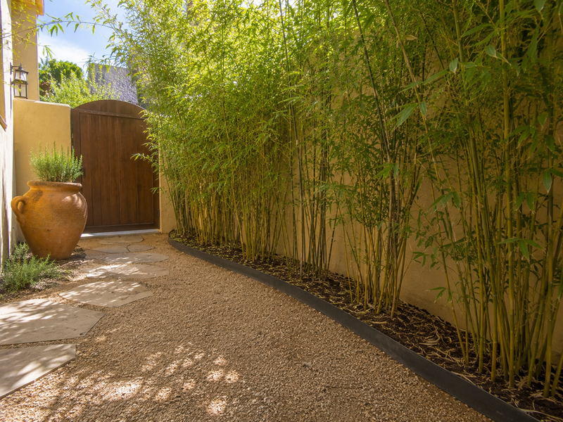 Rhizome / Bamboo Barrier 30 mil Thickness