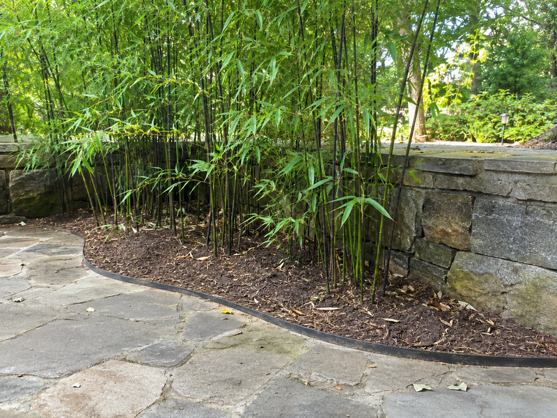 Rhizome / Bamboo Barrier 40 mil Thickness