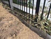 Bamboo barrier along fence line