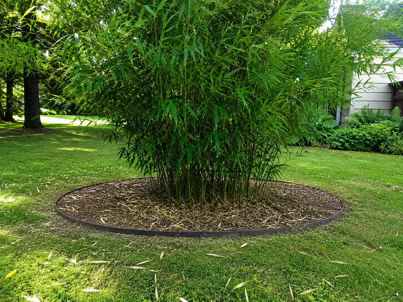 Rhizome / Bamboo Barrier 60 mil Thickness