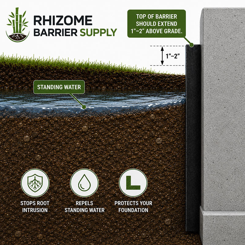 Rhizome Barrier Supply product diagram showing a black root barrier installed against a concrete foundation, with grass and soil layers above, labeled standing water, and callouts about extending the top of the barrier 1-2 inches above grade.